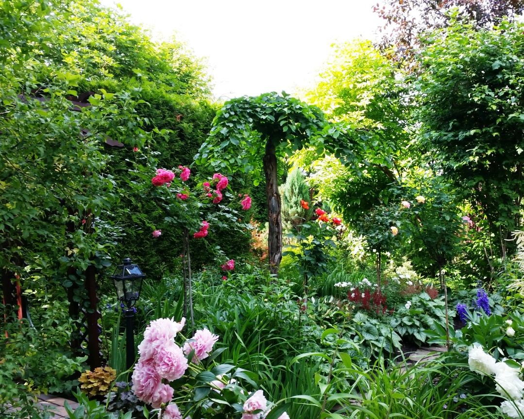 Проект Горки 2